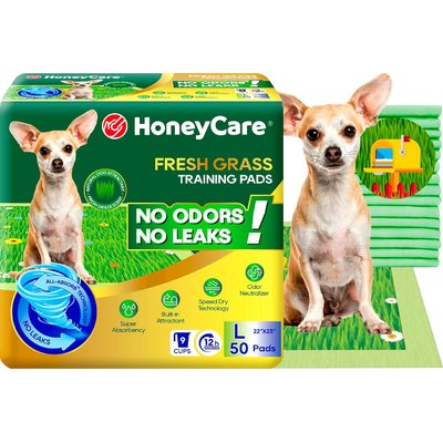 HoneyCare HoneyCare Fresh Grass Print Scent All Absorb Training Dog Potty Pads, Large: 22 x 23-in, 50 count