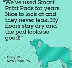 Pet Life Unlimited Smart Print Sweet Bluegrass Dog Potty Pads, XXX-Large, 25 count slide 2 of 9