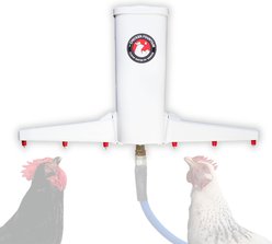 The Chicken Fountain Chicken Waterer