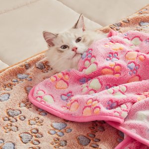 Luciphia Flannel Soft Fleece Paw Print Heated Small Dog & Cat Throw Blanket, 3 count, Paw, 23 x 16-in