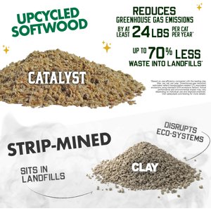 Catalyst Pet Multi-Cat Formula Cat Litter, 20-lb bag