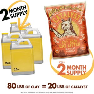 Catalyst Pet Multi-Cat Formula Cat Litter, 20-lb bag