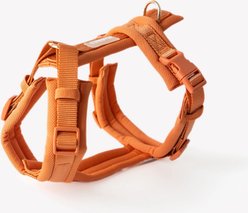 Furlou Comfort Dog Harness, Terracotta, Small: 15 to 21.5-in chest