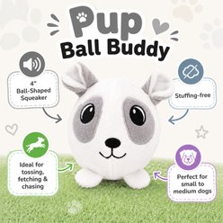 Dogline Pup Ball Buddy Squeaky Plush Dog Toy with Ball-Shaped Squeaker, White, 4-in slide 2 of 4