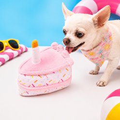 Dogline Birthday Cake Slice Mini Squeaky Plush Dog Toy, 6-in, Pink