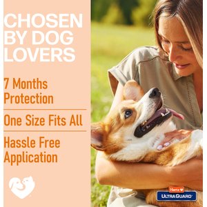 Hartz UltraGuard Flea & Tick Collar for Dogs, up to 26" Neck, 1 Collar (7-mos. supply)