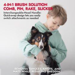 KONG 4-in-1 Interchangeable Dog Brush, Grey/Red, Medium slide 2 of 6
