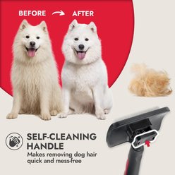 KONG Self-Cleaning Dog Slicker Brush, Grey/Red, Large slide 2 of 6