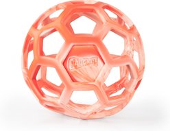 Chuckit! Hol-EE Roller Exercise Ball Dog Toy, Orange, Large slide 2 of 5