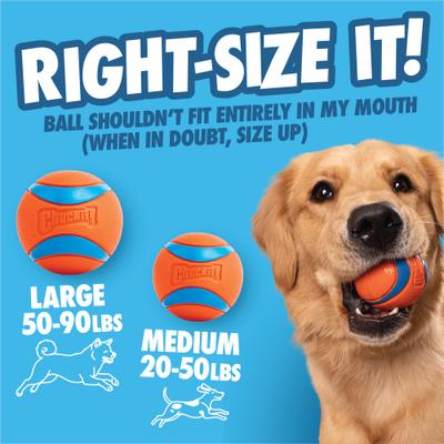 Show full view: Chuckit! Ultra Launcher 18M Dog Launchers Toy with Balls, Multicolor, Medium slide 8 of 8
