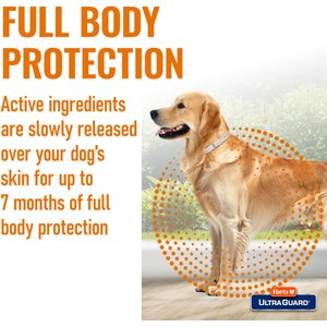 Hartz UltraGuard Flea & Tick Collar for Dogs, up to 26" Neck, 1 Collar (7-mos. supply)