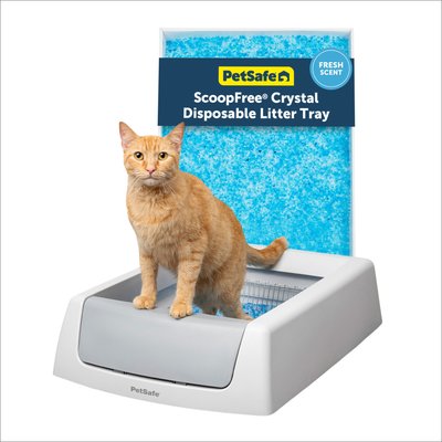 PetSafe PetSafe ScoopFree Crystal Classic Self-Cleaning Cat Litter Box, Gray