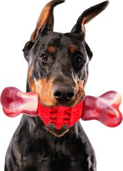 FrienHund Super Chewer Beef Flavor Nylon & Rubber Locking Chew Bone Toy, Pink/Red slide 2 of 7