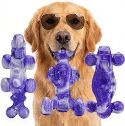 FrienHund Beef Flavor Tough Nylon Dog Chew Toy, Purple/White, 3 count slide 2 of 8