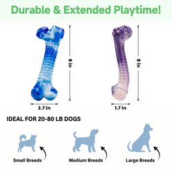 FrienHund Beef Flavor Classic Textured Nylon Chew Bone Dog Toy, Purple/Blue, 2 count slide 2 of 8