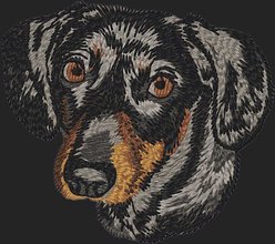 Teddy the Dog Dachshund Embroidered Classic Tee, Black, Medium slide 2 of 2