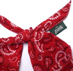 The Paws Dallas Dog & Cat Bandana, Red, Medium slide 2 of 6