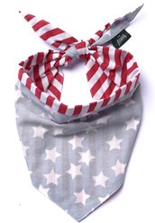 The Paws National Dog & Cat Bandana, Blue, Large