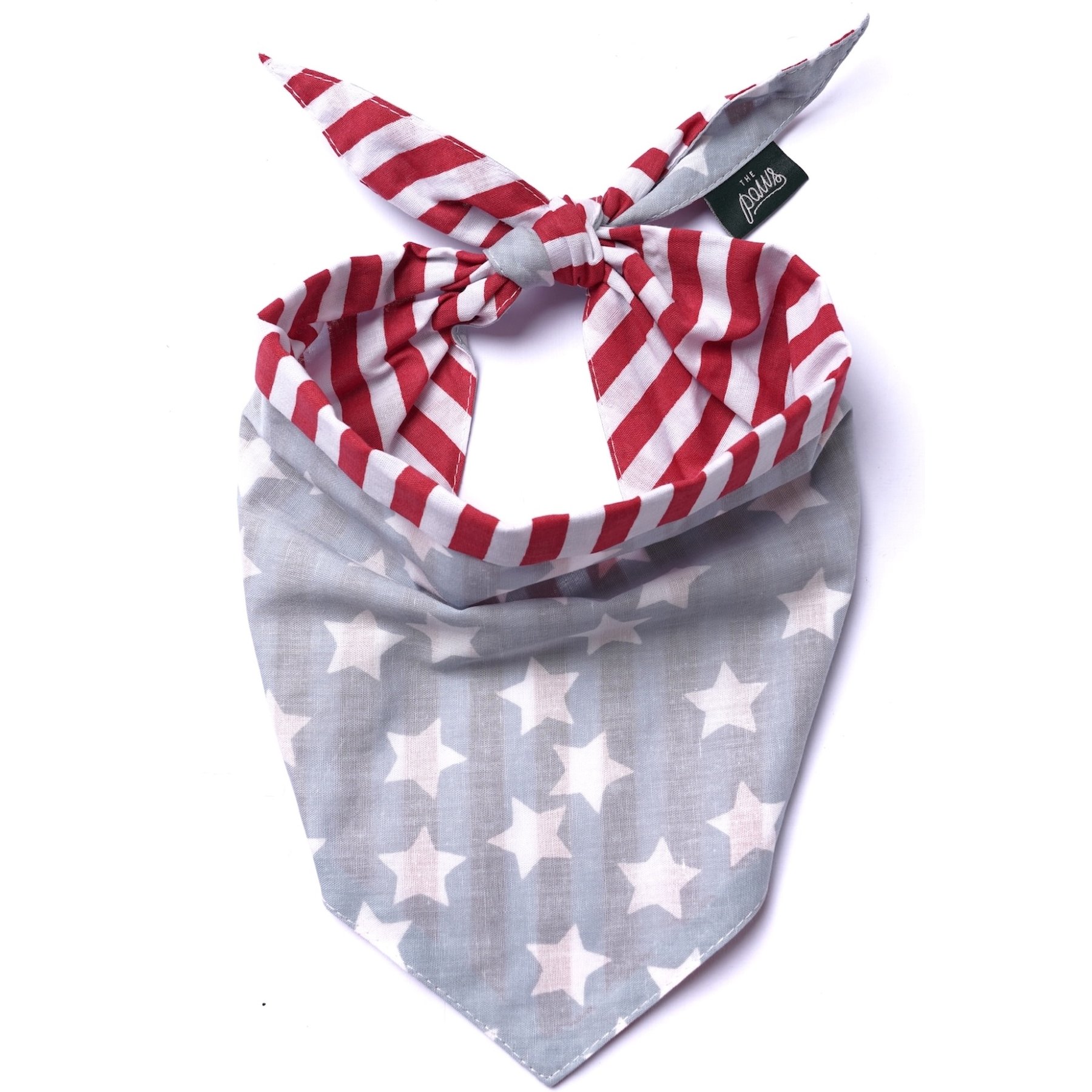 The Paws National Dog & Cat Bandana, Blue, Large