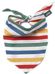 The Paws Frontier Dog & Cat Bandana, Stripes, Large
