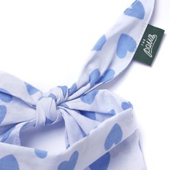 The Paws Story Dog & Cat Bandana, Blue, Small slide 2 of 4