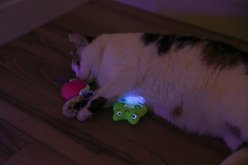 Quirky Kitty Glowing Forest Critters Glowing & Light-Up Plush Cat Toy, Multicolor, Medium, 2 count slide 2 of 6