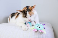 Quirky Kitty Glowing Forest Lunar Bugs Glowing & Light-Up Plush Cat Toy, Multicolor, Medium, 2 count slide 2 of 6
