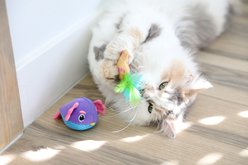 Quirky Kitty Ocean Cool Pufferfish Please Catnip Plush Cat Toy, Multicolor, Medium, 2 count slide 2 of 6