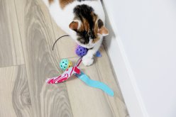 Quirky Kitty Ocean Cool Seaweed Tumblers Interactive Catnip Ball Cat Toy, Multicolor, Medium slide 2 of 6