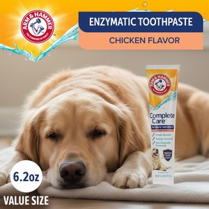 Arm & Hammer Products Complete Care Adult Chicken Flavored Dog Toothpaste, 6.2-oz tube
