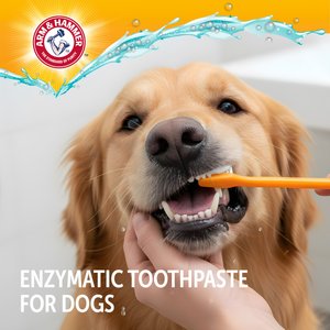 Arm & Hammer Products Complete Care Adult Chicken Flavored Dog Toothpaste, 6.2-oz tube