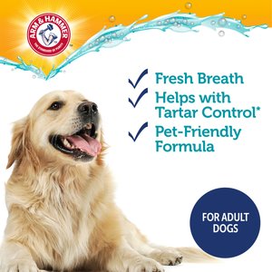 Arm & Hammer Products Complete Care Adult Chicken Flavored Dog Toothpaste, 6.2-oz tube