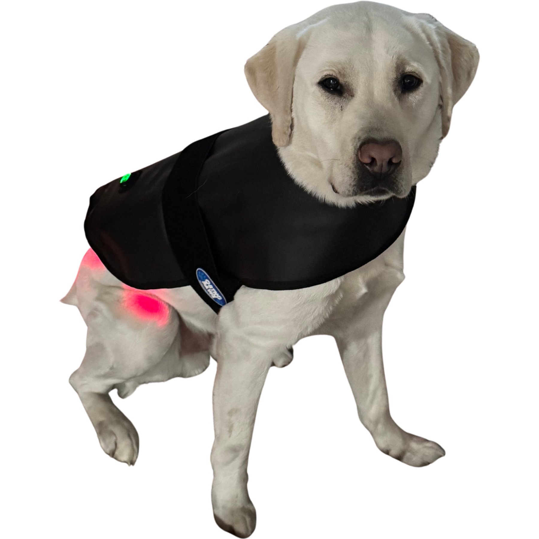 Ortho Pawz Red Light Therapy Dog Wrap, Medium