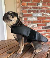 Ortho Pawz Red Light Therapy Dog Wrap, Small slide 1 of 4