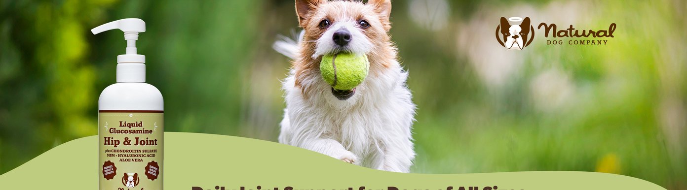 Natural Dog Company Liquid Glucosamine Hip & Joint supplement is featured beside a playful dog carrying a tennis ball outdoors. The product contains glucosamine, chondroitin sulfate, MSM, hyaluronic acid, and aloe vera to provide daily joint support for dogs of all sizes. The formula is designed to support every area of joint health and function, helping dogs stay active, comfortable, and mobile.