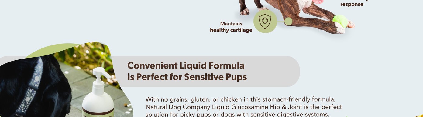 A dog enjoys a meal next to a bottle of Natural Dog Company Liquid Glucosamine Hip & Joint supplement. This convenient liquid formula contains no grains, gluten, or chicken, making it a stomach-friendly option for picky eaters and dogs with sensitive digestive systems. It is ideal for dogs that need daily joint support, are highly active and love to play, or prefer a liquid supplement over soft chews or tablets.