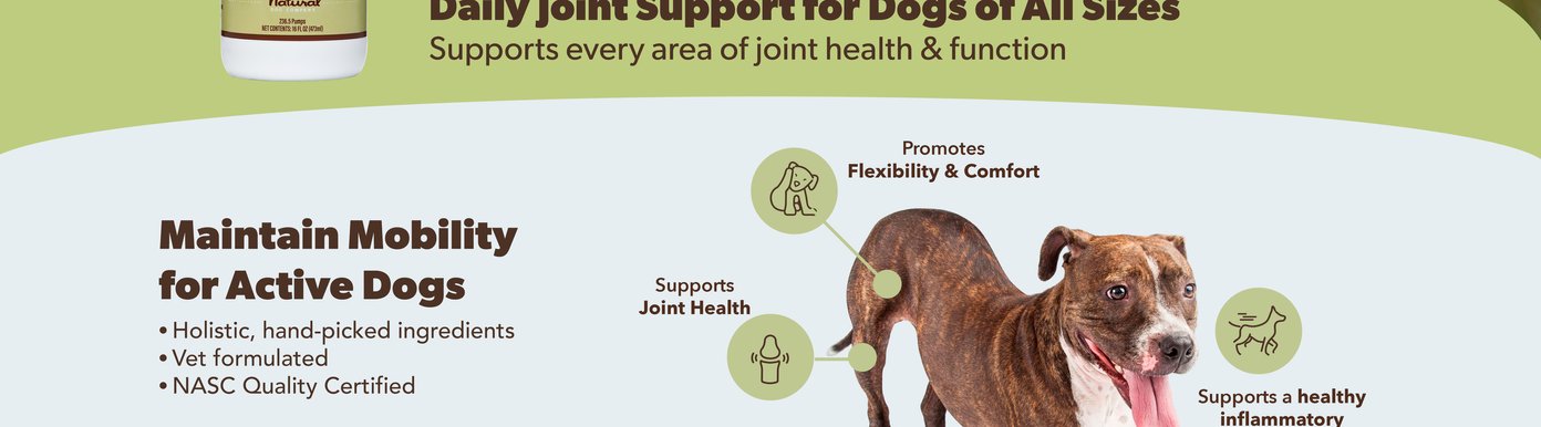 An active dog is shown alongside key joint health benefits of Natural Dog Company Hip & Joint support. Made with holistic, hand-picked ingredients, this vet-formulated and NASC Quality Certified supplement helps maintain mobility for active dogs. The formula supports joint health, promotes flexibility and comfort, supports a healthy inflammatory response, and helps maintain healthy cartilage for long-term joint function.