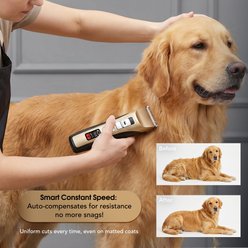 PATPET P950 Rechargeable Five-Level Speed Regulation Seat Pet Hair Grooming Clippers, Gold slide 2 of 8