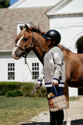 Show full view: 5/A Baker Horse Grooming Tote Bag slide 3 of 4