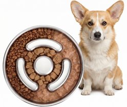 AIPERRO Bloat-Prevention Non-Slip Dishwasher-Safe Stainless Steel Slow Feeder Dog Bowl, 2-cup