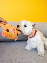 Fikas Freaky Friends Cookie Pig Squeaky Emotional Support Plush Dog Toy, Brown/Pink slide 2 of 6