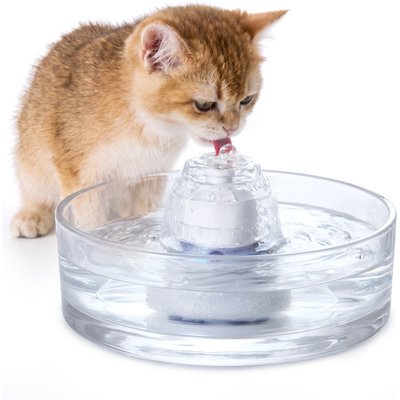 Lesure Lesure Automatic Glass Cat Water Fountain, Transparent, 91-oz