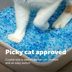 PetSafe ScoopFree Premium Crystal Fresh Scent Silica Cat Litter, 20-lb bag, Blue slide 2 of 7