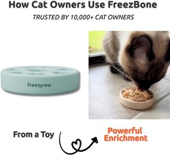 Freezbone FreezSpin Multi-Compartment Enrichment Tough Chewer Treat Dispenser Cat Toy, Aqua, Small slide 2 of 7