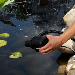 Pond Boss 800 GPH Pond Pump slide 2 of 4