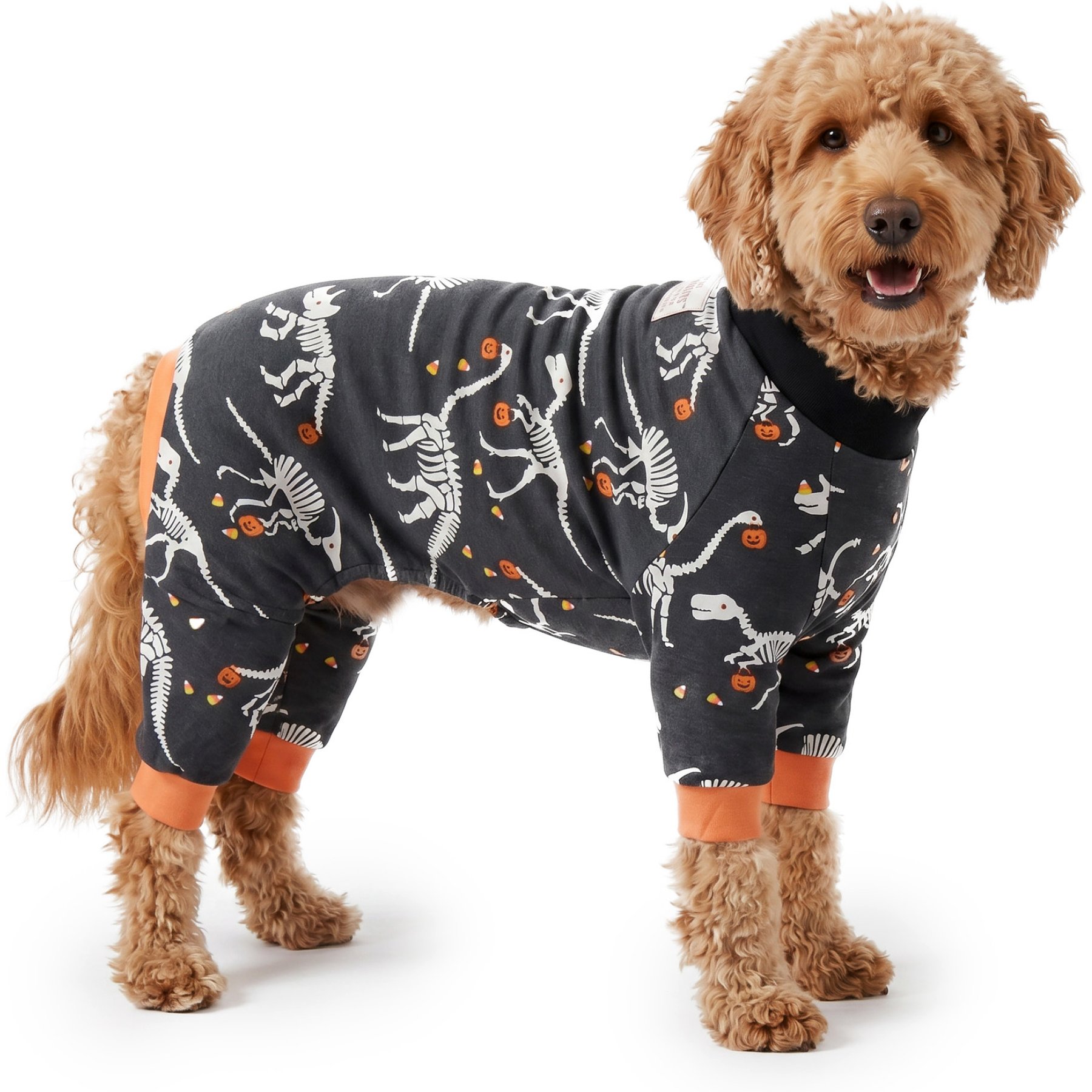 Pet Passion Candy Saurus Snooze The Ultimate Dog Pajama, XX-Small