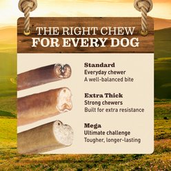 Ever Farm 12-inch MEGA Beef Bully Stick Dog Chew, 5 count slide 2 of 6