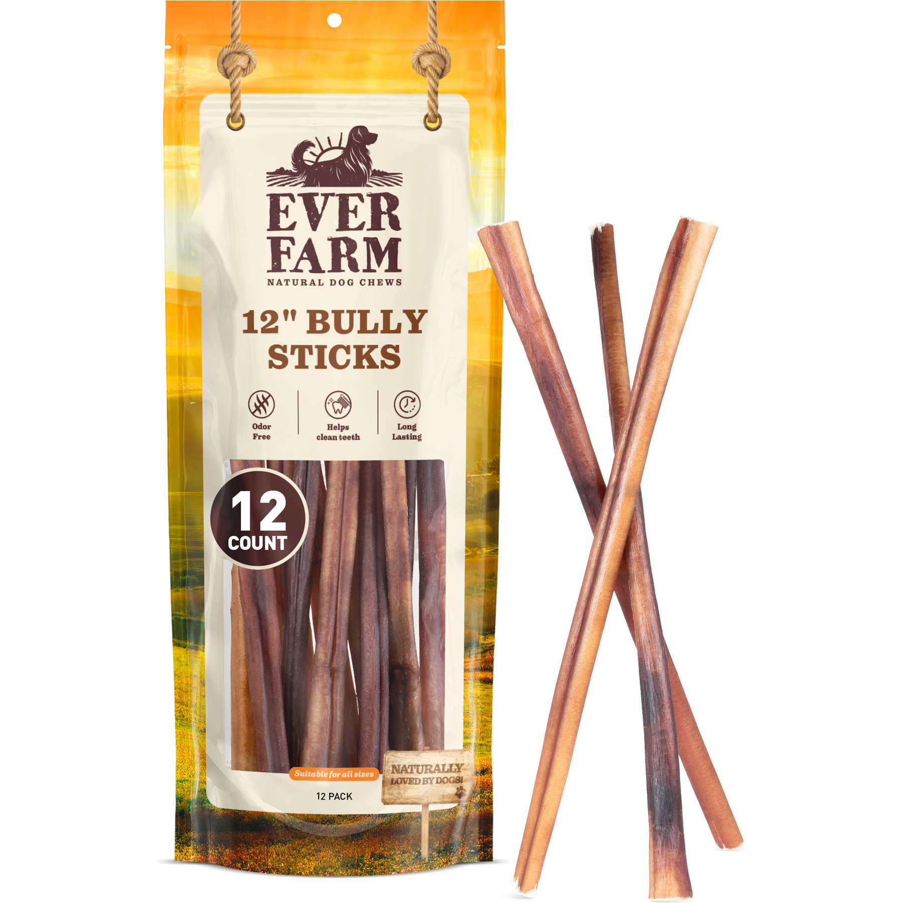 Ever Farm 12-inch Grass Fed Beef Pizzle Bully Stick Dog Chew, 12 count