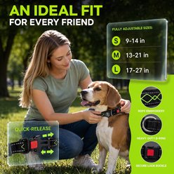 MEGAPAWS Light Up Nylon Dog Collar, Green, Small: 9 to 14-in neck, 0.79-in wide slide 2 of 9