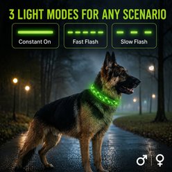 MEGAPAWS Light Up Nylon Dog Collar, Red, Small: 9 to 14-in neck, 0.79-in wide slide 2 of 9